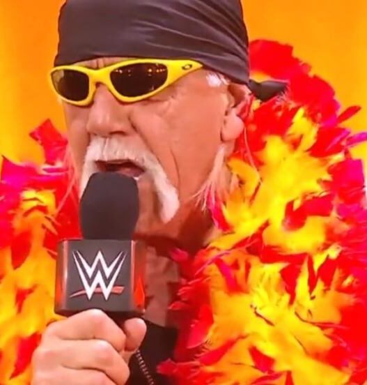 Luto na Luta Livre: Hulk Hogan, Ícone da WWE, Falece aos 71 Anos