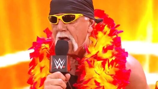 Luto na Luta Livre: Hulk Hogan, Ícone da WWE, Falece aos 71 Anos
