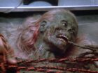 Os 10 Filmes de Zumbi Mais Nojentos que Redefiniram o Horror Gore no Cinema