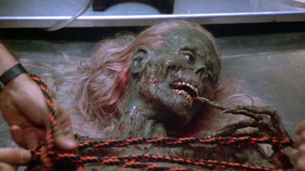 Os 10 Filmes de Zumbi Mais Nojentos que Redefiniram o Horror Gore no Cinema