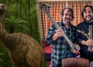 A De-extinção do Moa Gigante: Peter Jackson e Colossal Biosciences Revelam Detalhes e Impacto Cultur