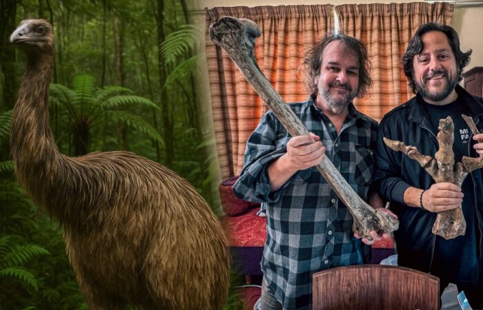 A De-extinção do Moa Gigante: Peter Jackson e Colossal Biosciences Revelam Detalhes e Impacto Cultur