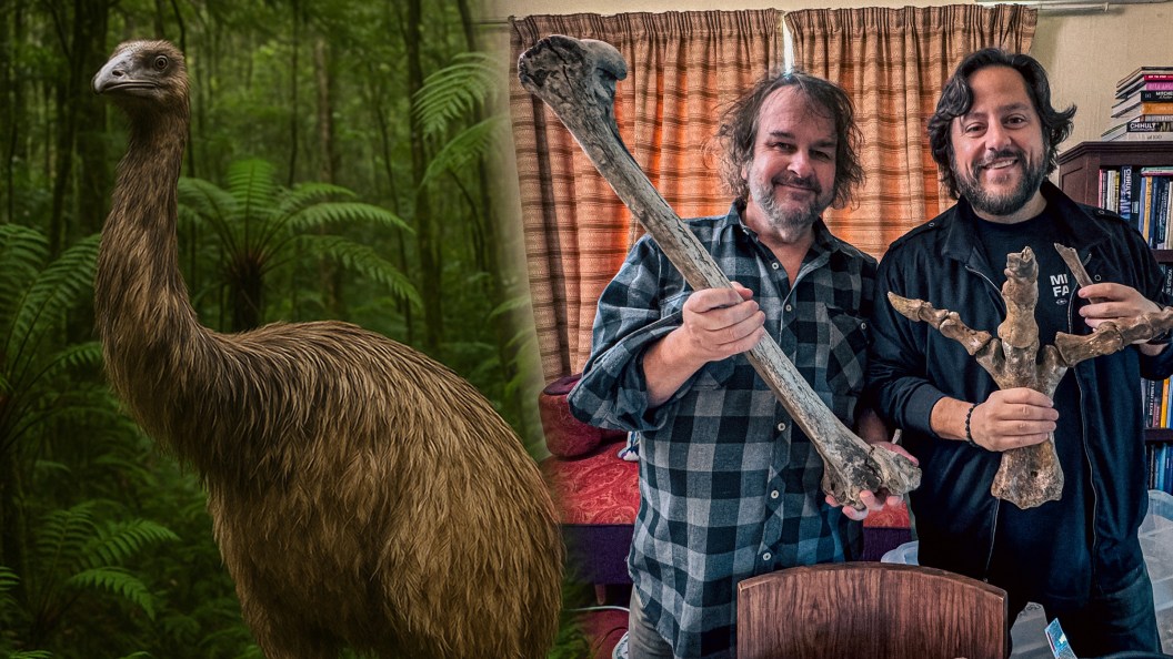 A De-extinção do Moa Gigante: Peter Jackson e Colossal Biosciences Revelam Detalhes e Impacto Cultur
