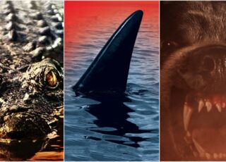 Filmes de Animais Assassinos: Prepare-se para o Terror na Shudder Antes que Seja Tarde!