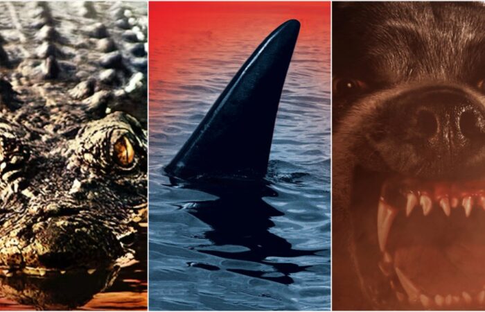 Filmes de Animais Assassinos: Prepare-se para o Terror na Shudder Antes que Seja Tarde!