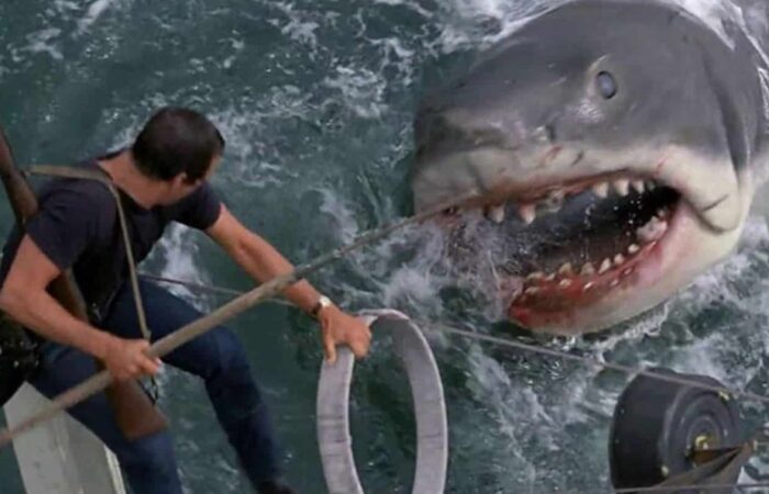 Os Filmes de Monstro Essenciais: Uma Seleção Imperdível para Fãs de Horror