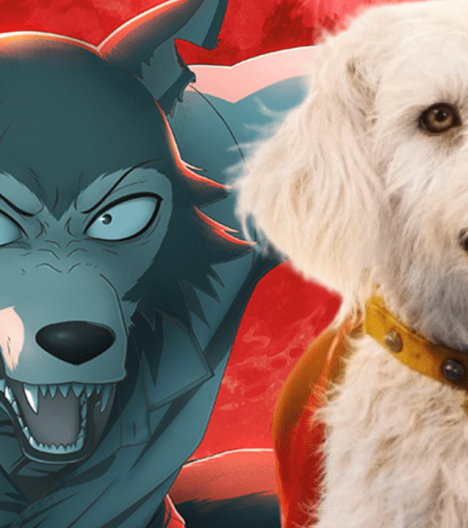 Criador(a) de Beastars Celebra Novo Filme do Superman com Arte Adorável de Krypto e Revela Detalhes