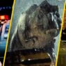 Sequências Fracassadas: 7 Filmes de Ficção Científica que Nunca Precisaram de Continuação