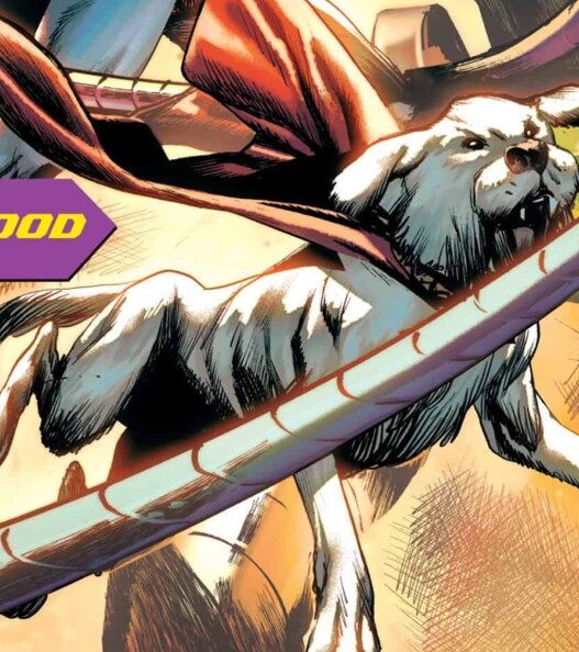 Krypto o Supercão: O Novo Visual Inspirado no Filme de James Gunn Conquista Fãs e Quadrinhos