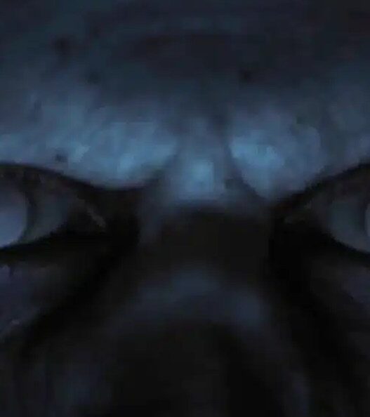 Um Astro da Marvel Se Junta ao Novo Terror de Robert Eggers: Tudo Sobre Werwulf com Willem Dafoe