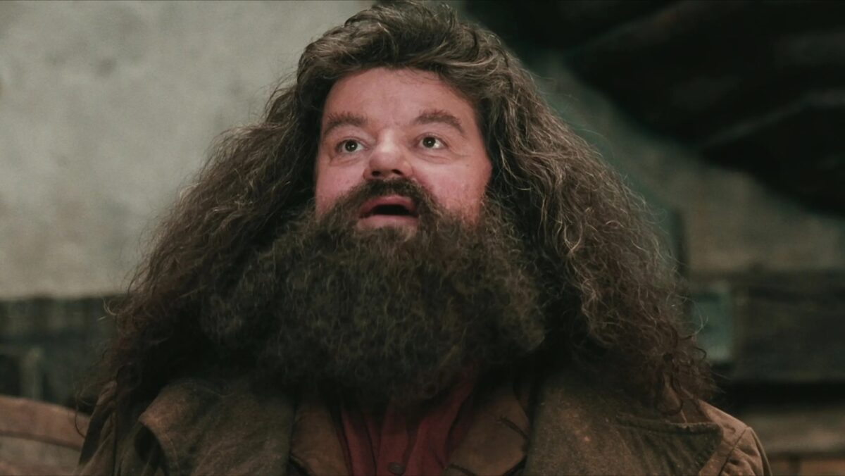 Diretor de Harry Potter critica remake da HBO: 'Qual o sentido?'
