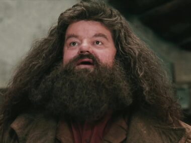 Diretor de Harry Potter critica remake da HBO: 'Qual o sentido?'