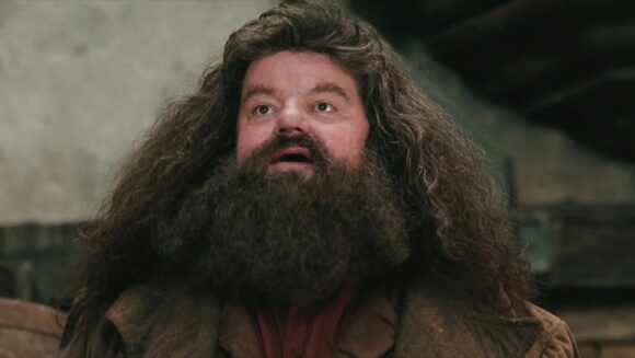 Diretor de Harry Potter critica remake da HBO: 'Qual o sentido?'