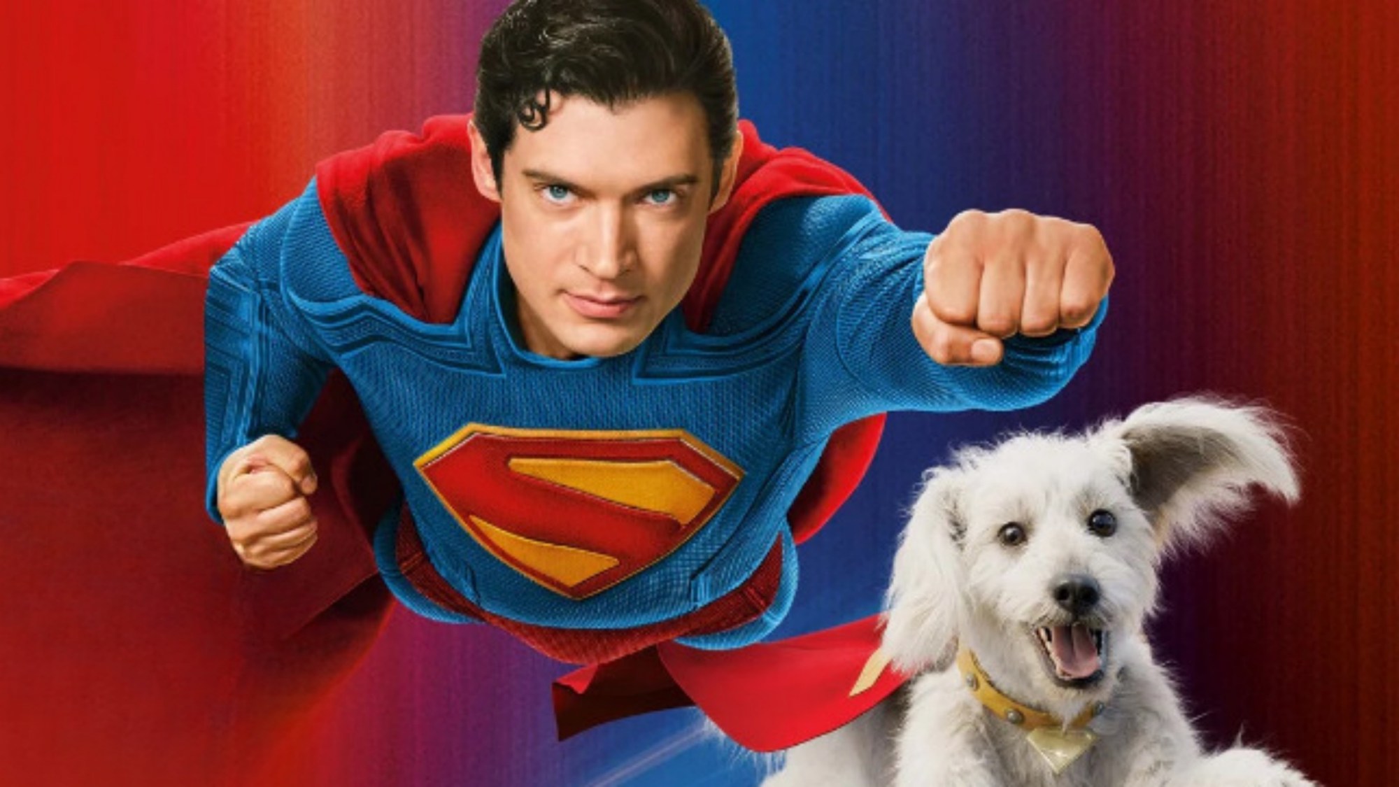 James Gunn e a DC: 2 estrelas de outra equipe de heróis já estão no DCEU