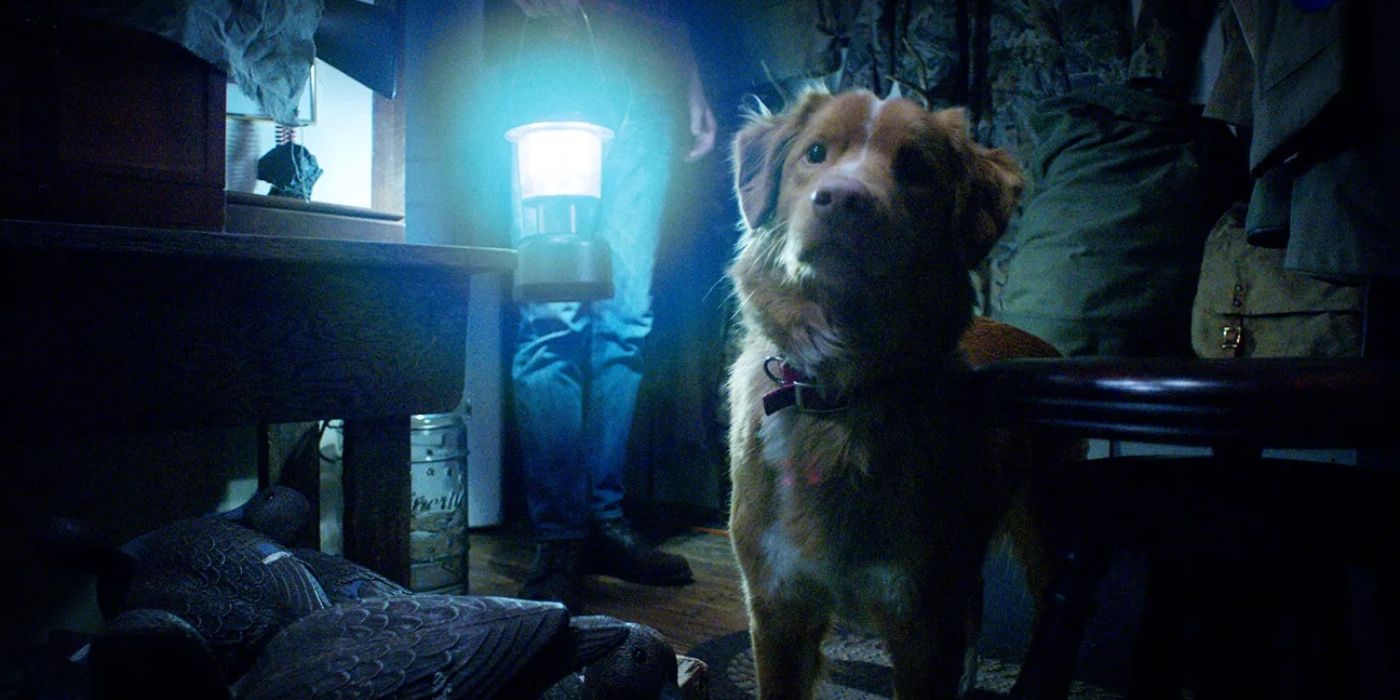 Antes de 'Good Boy', veja esta adaptação esquecida de Stephen King