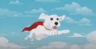 South Park S27: Krypto do Superman Vira Alvo de Paródia Chocante e Controversa