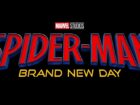 Homem-Aranha: Brand New Day – Hulk e Escorpião Confirmados e Punisher Chega ao Cinema no MCU!