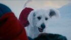 A Triste Realidade de Krypto: James Gunn Revela Fato Chocante Sobre o Supercão do Superman no Novo D