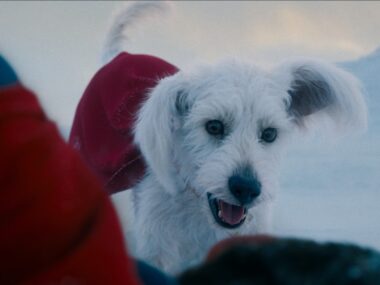 A Triste Realidade de Krypto: James Gunn Revela Fato Chocante Sobre o Supercão do Superman no Novo D