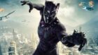 O Futuro do Pantera Negra no MCU: Rumores Apontam Novo Ator para T'Challa
