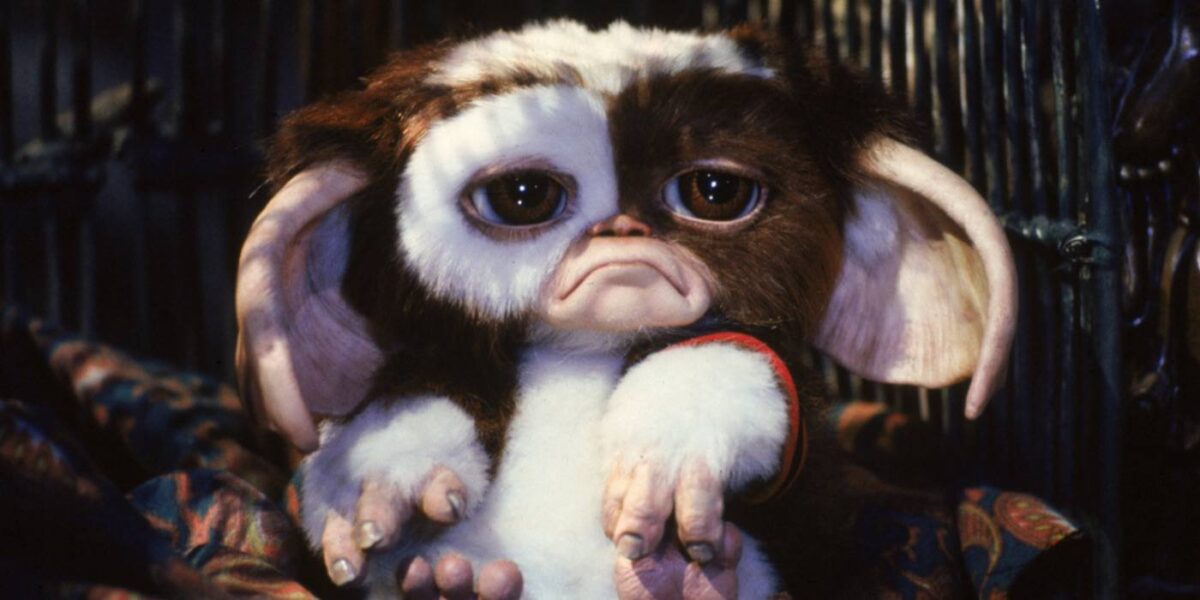 Gremlins 3: Produtor dá atualização decepcionante sobre continuação