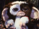 Gremlins 3: Produtor dá atualização decepcionante sobre continuação