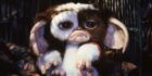 Gremlins 3: Produtor dá atualização decepcionante sobre continuação