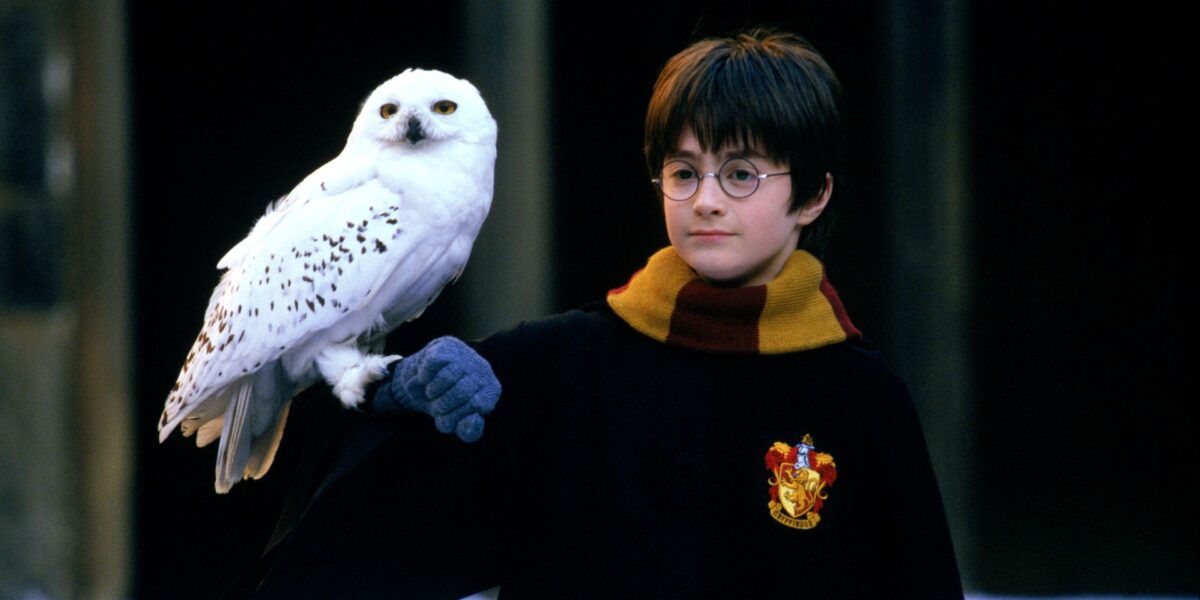 Chris Columbus não retorna para reboot de Harry Potter na HBO