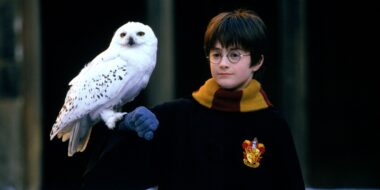 Chris Columbus não retorna para reboot de Harry Potter na HBO