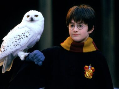 Chris Columbus não retorna para reboot de Harry Potter na HBO