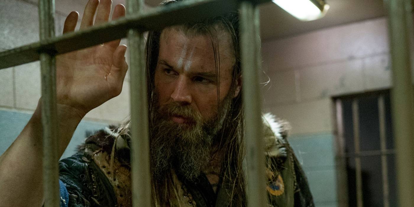 Sua Próxima Série Favorita: Descobrindo 'Animal Kingdom'