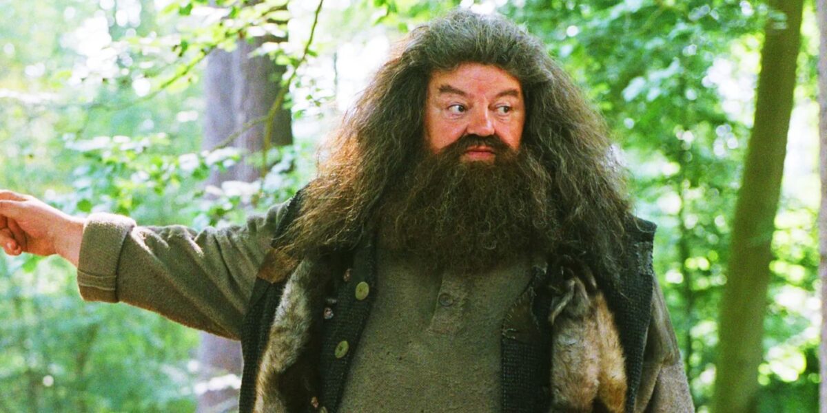 Chris Columbus critica reboot de Harry Potter: qual o sentido?