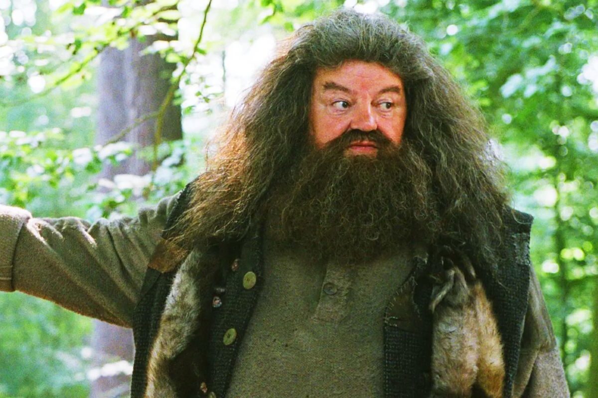 Chris Columbus critica reboot de Harry Potter: qual o sentido?