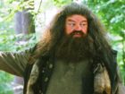 Chris Columbus critica reboot de Harry Potter: qual o sentido?