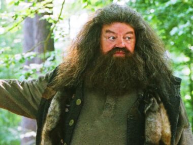 Chris Columbus critica reboot de Harry Potter: qual o sentido?