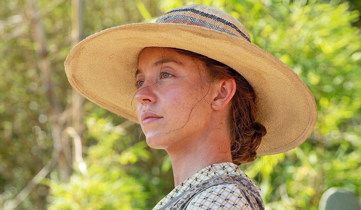 Sydney Sweeney: Fracassos de bilheteria consecutivos