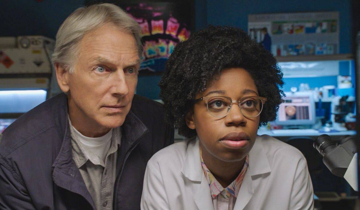 NCIS e séries policiais: detalhes surpreendentes revelados por perito forense