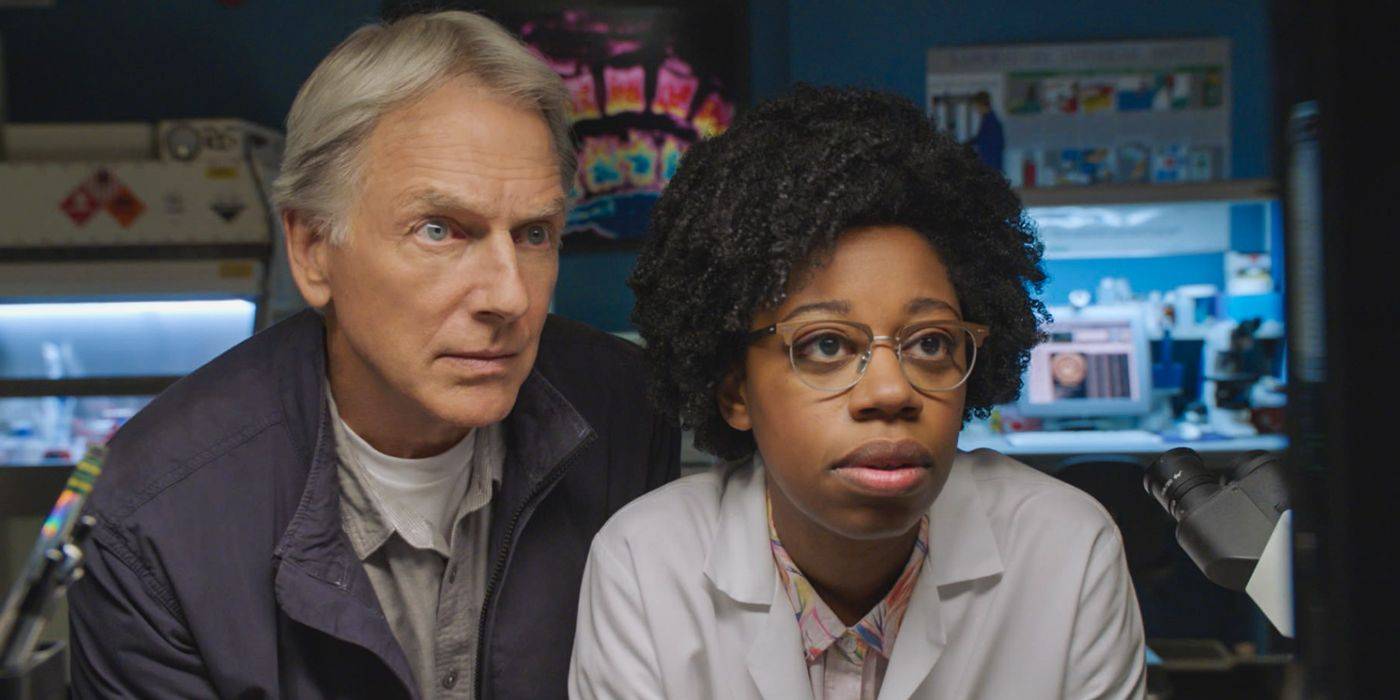 NCIS e séries policiais: detalhes surpreendentes revelados por perito forense