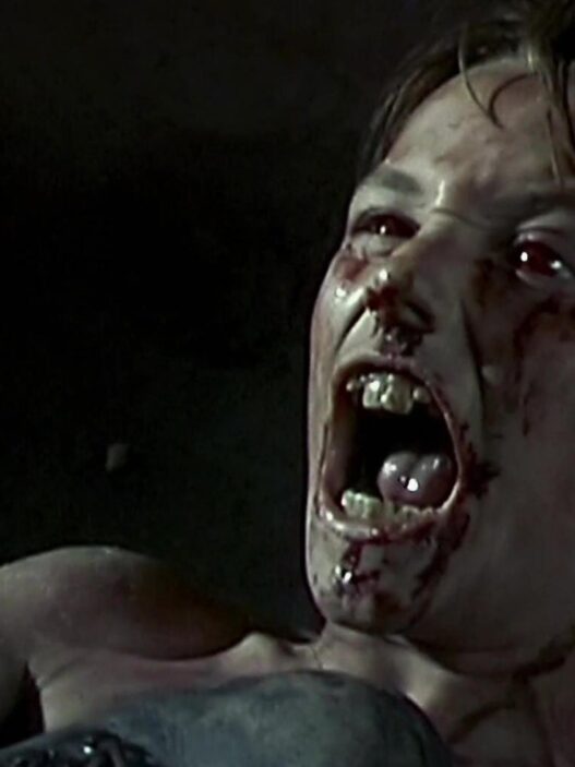 Shaun of the Dead : Clássico Zumbi Chega à Netflix