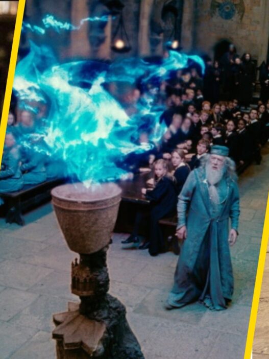 7 Erros em 'Harry Potter e o Cálice de Fogo' que Você Nunca Mais Vai Desperceber