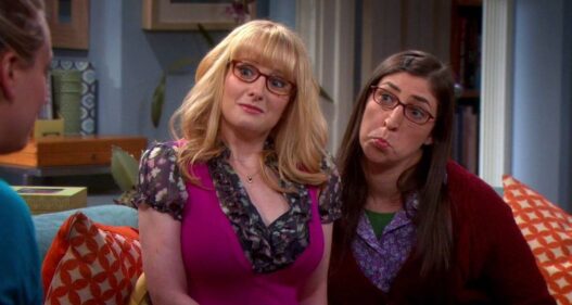 Amizade de Sheldon e Amy em The Big Bang Theory: Uma Ilusão?