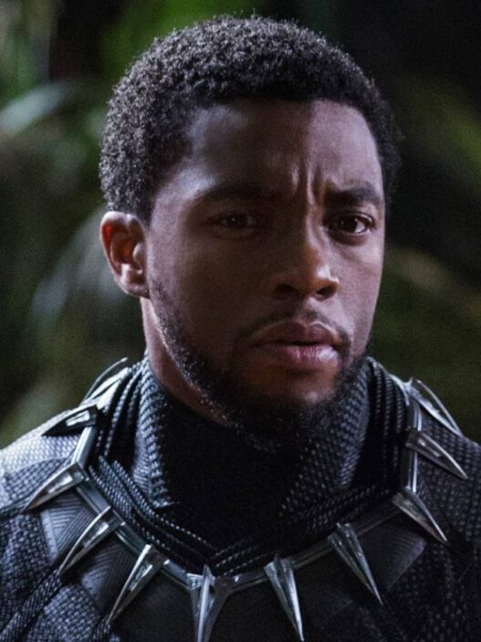Black Panther: Nova série do MCU evita substituir Chadwick Boseman