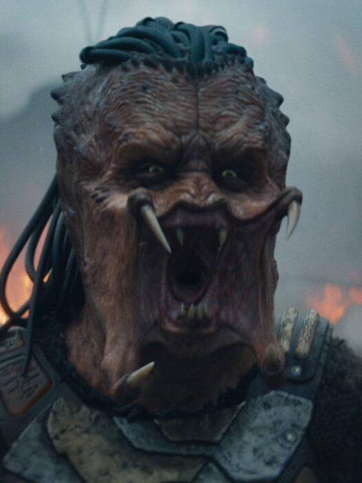 Teoria de Alien vs. Predator é desmentida (por enquanto)