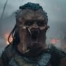 Teoria de Alien vs. Predator é desmentida (por enquanto)