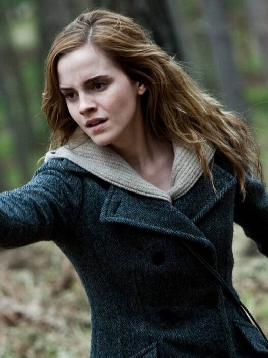 Harry Potter e a Pedra Filosofal: A Cena Mais Impactante do Filme Mais Crítico