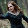 Harry Potter e a Pedra Filosofal: A Cena Mais Impactante do Filme Mais Crítico