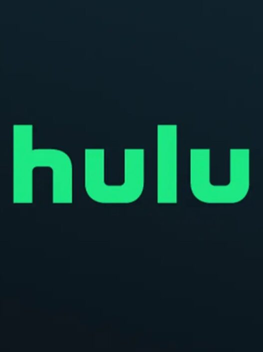 Woot! Série animada original do Hulu migra para a Netflix