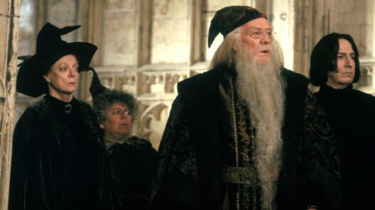 Harry Potter: Remake Inclui Personagem Injustamente Excluída dos Filmes