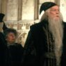 Harry Potter: Remake Inclui Personagem Injustamente Excluída dos Filmes