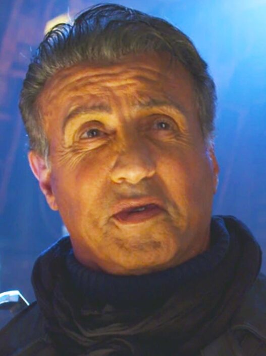 Sylvester Stallone como o perfeito herói da DC em Fan Art